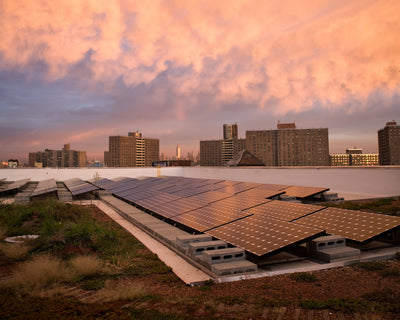 Pink clouds at sunrise light the solar array and green roof at the Remains Lighting Company factory in Brooklyn, New York.