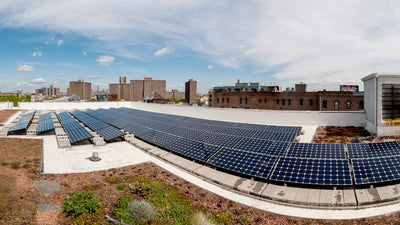 A wide angle photo of the rooftop solar array and sedum garden at the Remains Lighting factory, with a view of the Empire State Building in the distance.